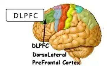 聚焦經(jīng)顱直流電刺激（tDCS）-兒童早期精神疾病治療的新曙光